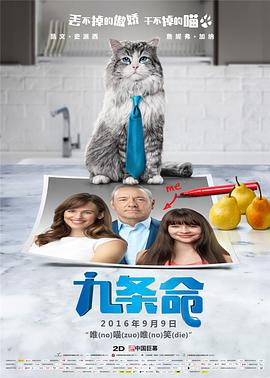 亚洲精彩视频在线观看