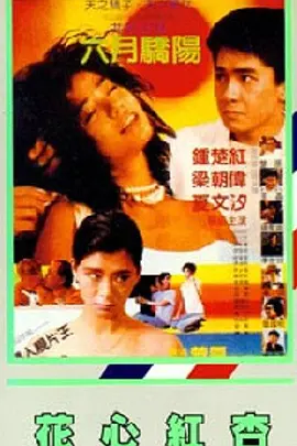 新妈妈是我的