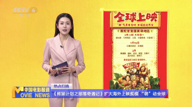 俘虏夫人