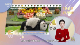 新人女演员冲击告白
